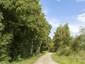 East Germany Landscapes Prints: Cycle path and sandy path, Schlepzig