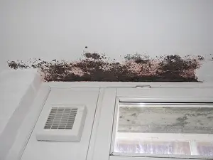 Rainy Weather Conditions Prints: Dampness moisture on wall