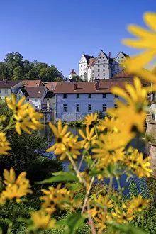 Danube River Waterfront Scenes Prints: Danube with Scheer Castle, Scheer