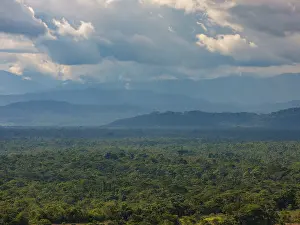 Overcast Sky Nature Scene Prints: Dark clouds over the Amazon rainforest