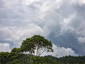 Primeval Forest Photography Prints: Dark clouds over the Amazon rainforest