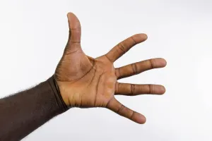 One Person Studio Photo Prints: Dark-skinned palm