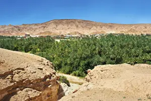 Deserted Sandstone Rock Formations Prints: Date palms of the oasis of Mides