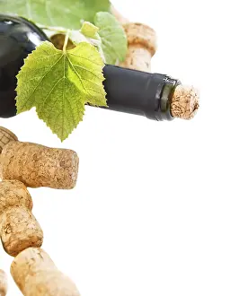 White Studio Background Images Prints: Dated wine bottle corks and bottle on the white background with copy space