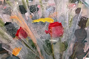 Colourful Flower Bouquet Prints: Day of roses