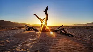 Evening Sun In The Desert Prints: Dead tree, sunset, Sossusvlei, Namibia