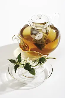 Indoor Leafy Plants Prints: Deadnettle tea in teapot
