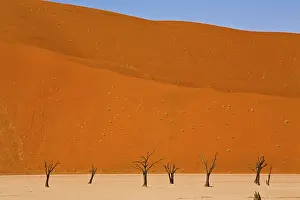 Framed Print : Deadvlei Landscape Print, Namibia