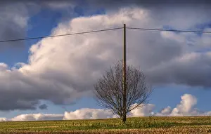 Electric Power Wire Prints: December, The utility pole