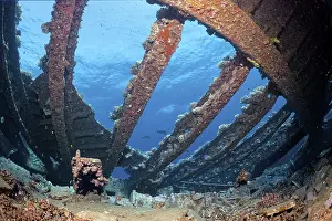 Underwater Shipwreck Prints: Below deck in wreck, shipwreck