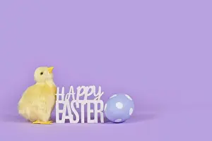 Young Bird Photography Prints: Decorative Easter chick, painted egg and text Happy Easter in corner of violet background with copy space