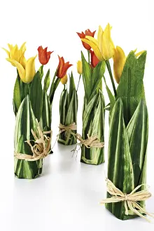 Red Tulips Prints: Decorative tulips