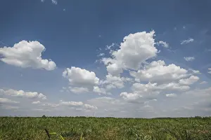 Countryside Landscape Shot Prints: Deep blue sky with clouds over the field