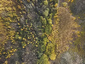 Mountain Chain Landscape Prints: Default