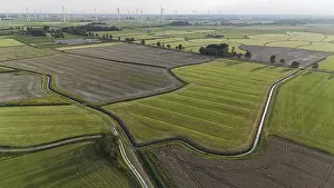 Northern Germany Landscape Prints: Default