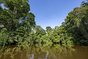 Tropical Rainforest Photography Prints: Dense rainforest and river landscape