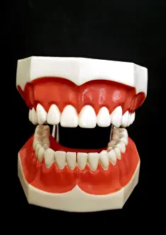 Oral Hygiene Icon Prints: Denture model