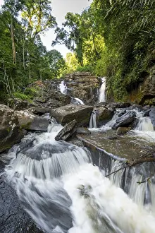 Primeval Forest Scenery Prints: Derema Waterfall flows through thick vegetation