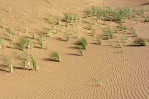 Moroccan Desert Landscape Prints: Desert in morocco