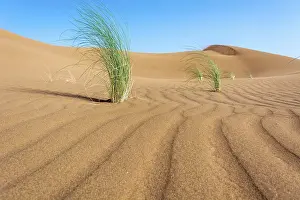 Sahara Desert Morocco Prints: Desert in morocco