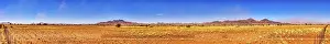 Desert Landscape Africa Prints: Desert, Sossusvlei, Namibia