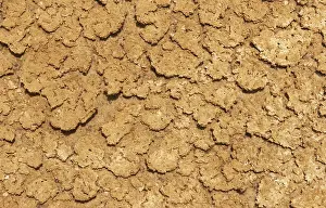 Orange Background Image Prints: Desiccated mud