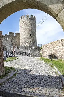 Balkan Peninsula Tourist Attraction Prints: Despot Stefan Tower