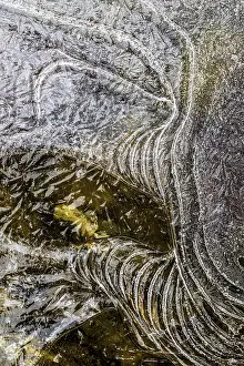 Ice Structures Prints: Details, shapes and structures of ice