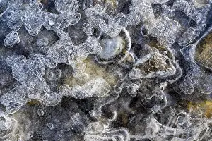 Ice Crystal Details Prints: Details, shapes and structures of ice