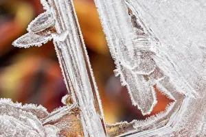 Ice Crystals Prints: Details, shapes and structures of ice