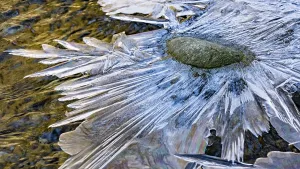 Ice Structures Prints: Details, shapes and structures of ice