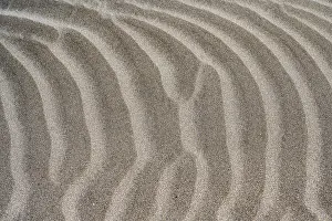 Dune Landscape Prints: Details and structures, Dune landscape