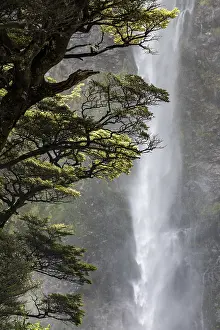 Natural Preserve Waterfall Prints: Devil's Punchbowl Waterfall