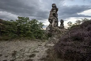 Devil's Wall Germany Prints: Devil's Wall, heather in front of it