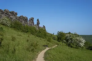 Sculpted Rock Formations Prints: Devil's Wall, Konigsstein