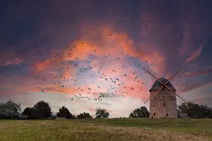 Central Europe Evening Sky Prints: Devil's Mill Windmill Warnstedt Thale at sunset Devil's Mill Windmill Warnstedt Thale at sunset