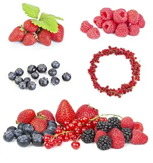 Studio Shot Desserts Prints: Different fresh berries on a white background