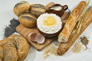 Different Kinds Of Bread Prints: Different kinds of bread on a studio background