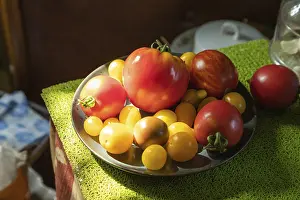 Natural Light Photography Prints: Different tomatoes ceramic plate on the kitchen table