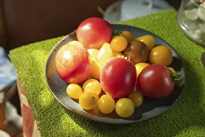 Natural Light Photography Prints: Different tomatoes ceramic plate on the kitchen table