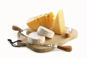 Cheese Types Prints: Different types of cheeses, brie