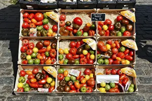 Colorful Vegetable Selection Prints: Different types of old tomatoes in boxes