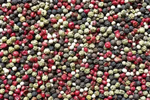 Assorted Peppercorns Prints: Different types of peppercorns as a background