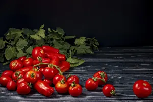 Assorted Tomatoes Prints: Different types of tomatoes on wood
