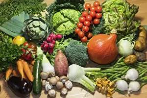 Diverse Vegetable Selection Prints: Many different vegetables, Germany