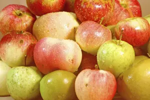 Nature Background Images Prints: Diffrent apple sorts