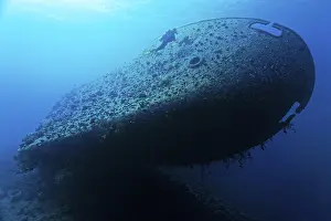 Underwater World Images Prints: Diver at the bow of the Cedar Pride