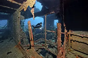 Underwater World Africa Prints: Diver, diver below deck in wreck