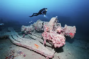 World War II Shipwreck Prints: Diver, diver looking at Ankewinde