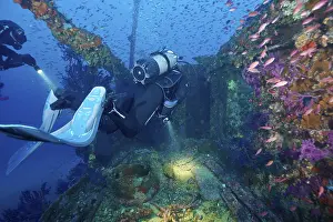 Scuba Diving Location Prints: Divers float through the remains of a sunken ship